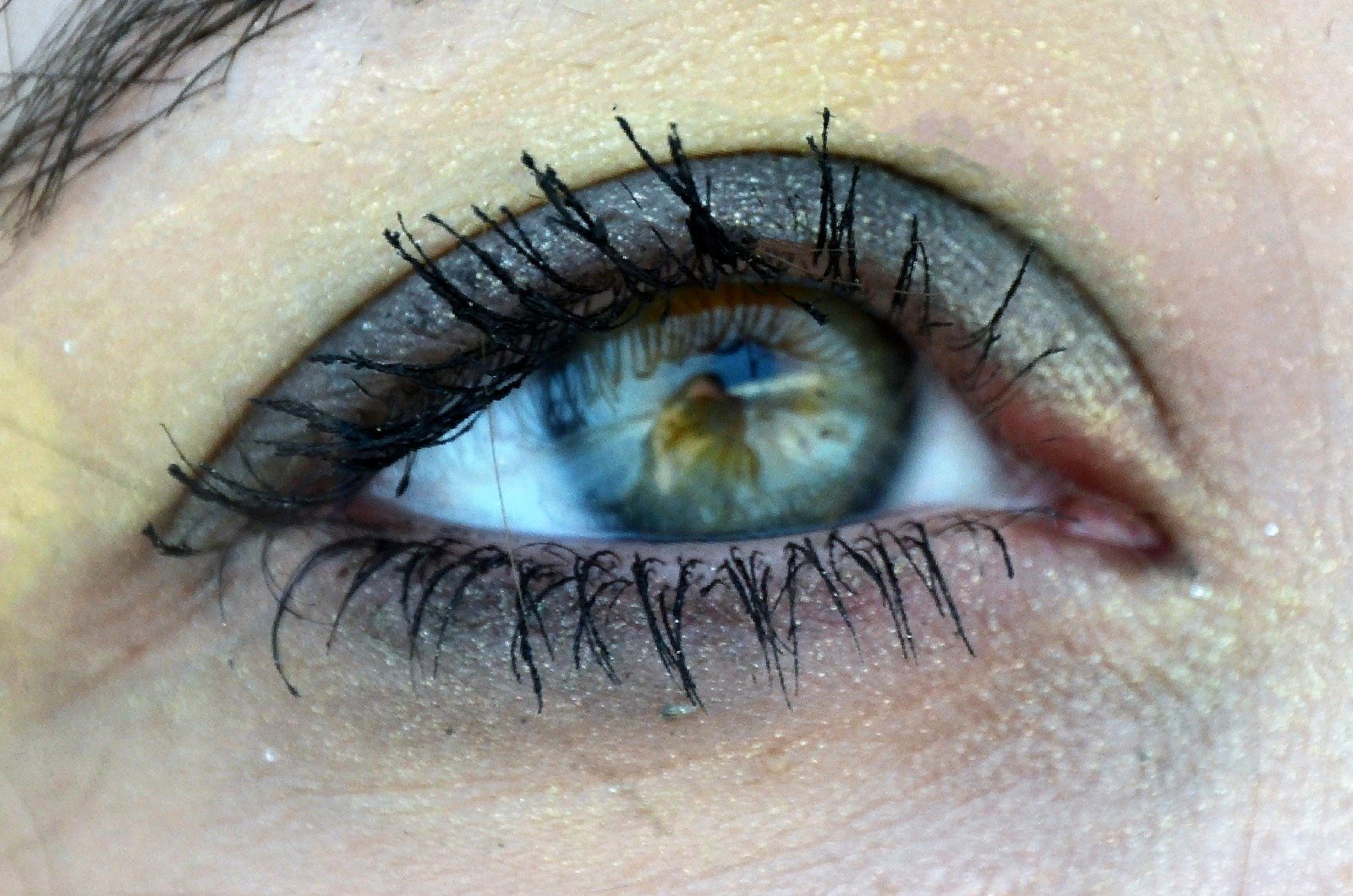 A close-up of a blue eye with long mascara-coated lashes and silver eyeshadow