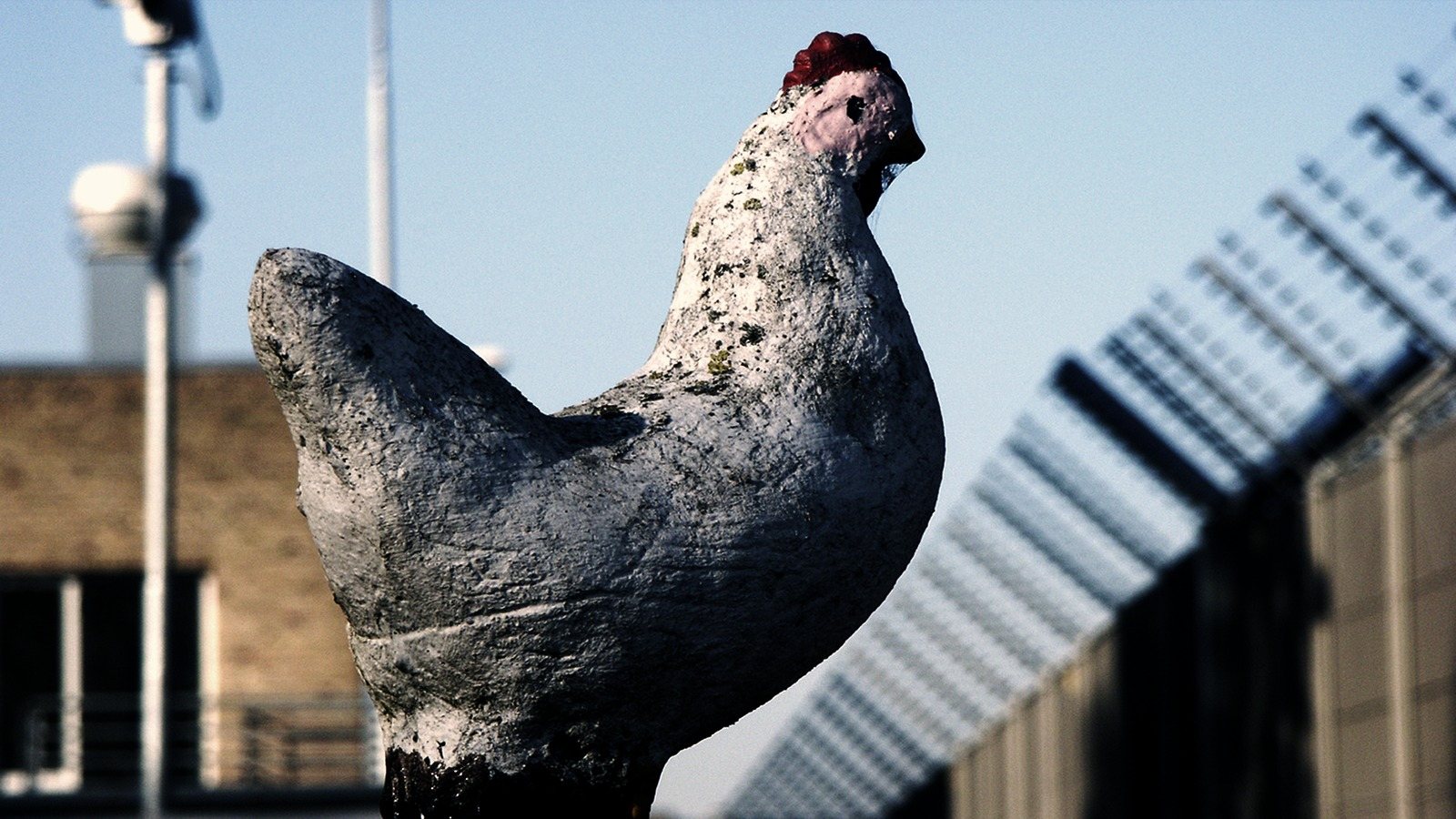 A large rooster statue against the sky, a fence and a building behind