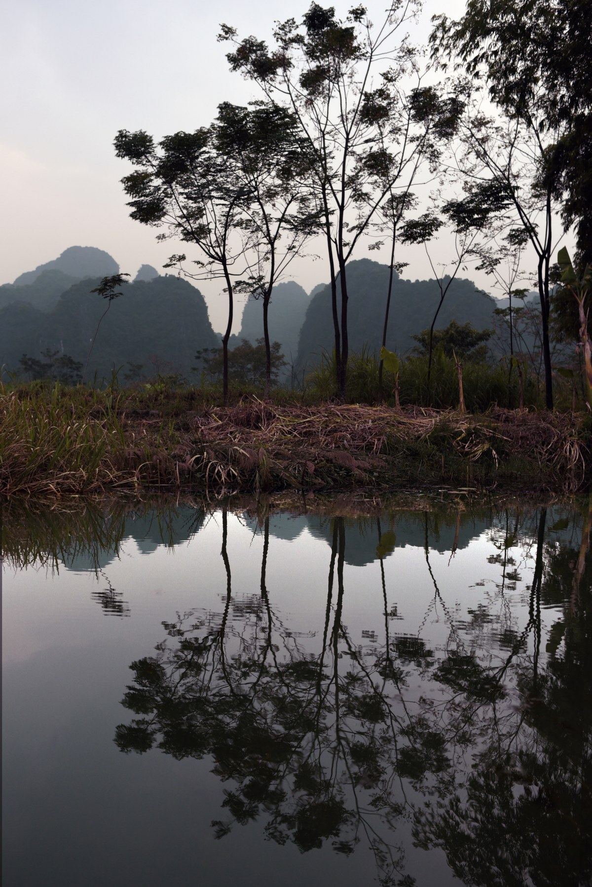 Trees and karst hills reflected in still water