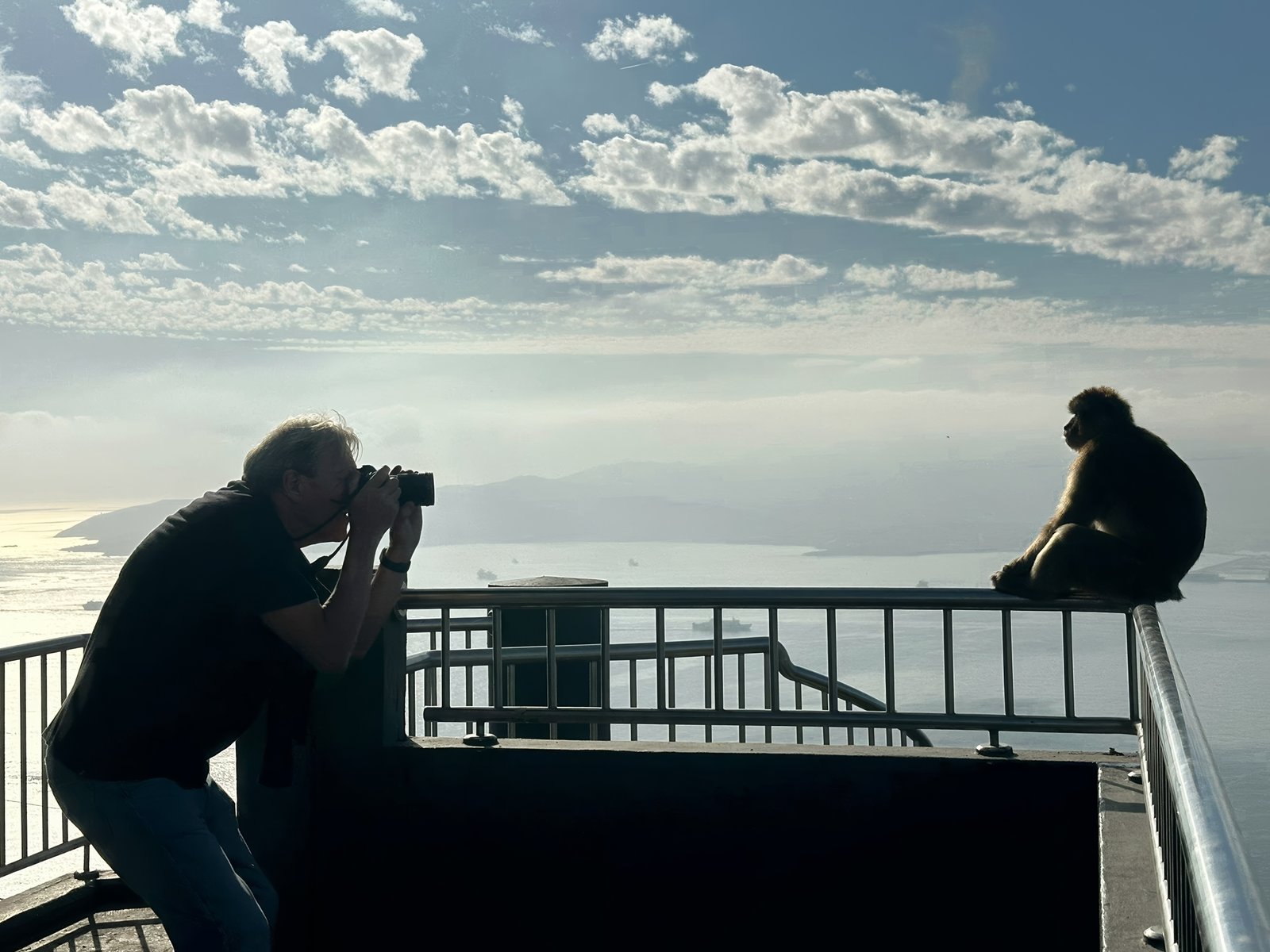 Rob Rombout photographing a Barbary macaque sitting on a railing above the bay of Gibraltar