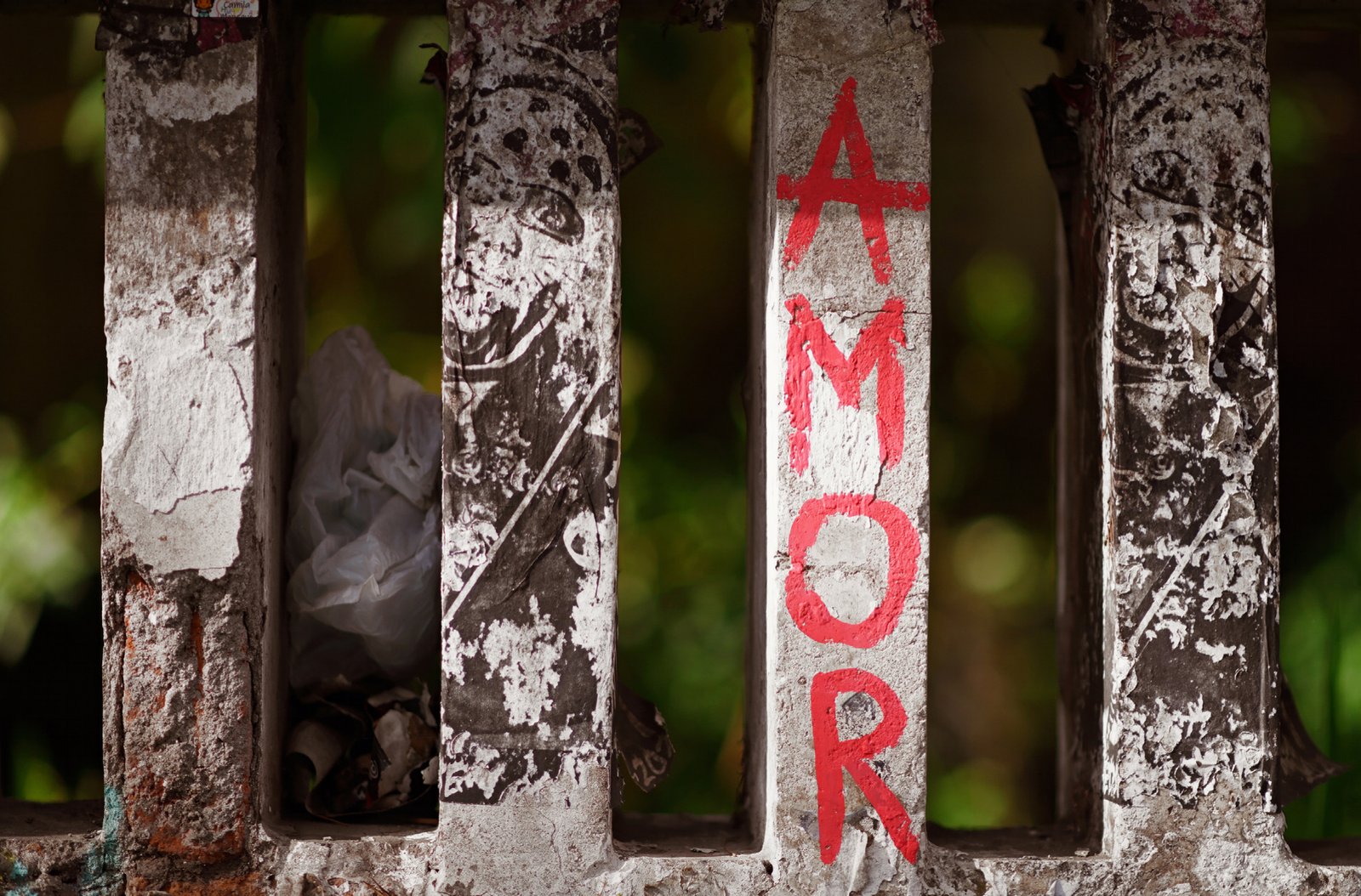 Weathered fence posts, one painted with the word AMOR